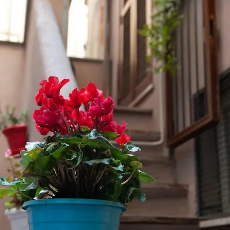 Live Like At Local Campo De' Fiori Appartamento