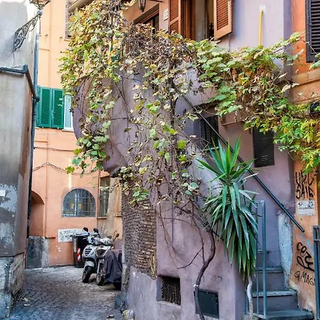 Live Like At Local Campo De' Fiori